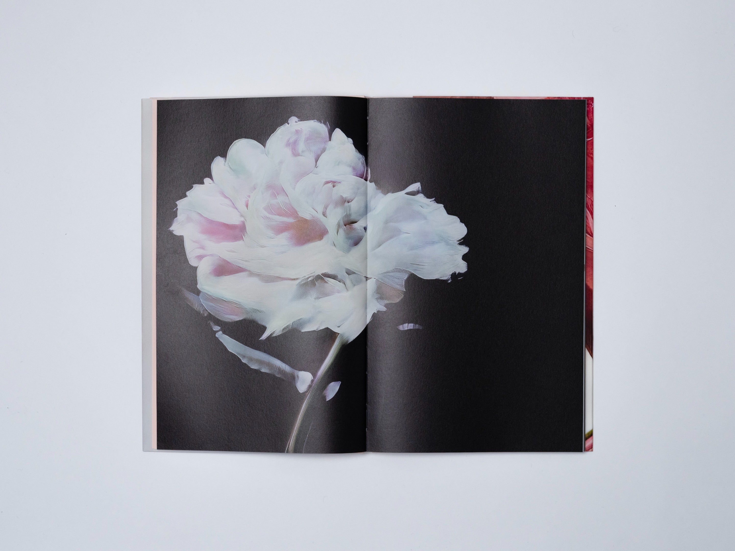 HANATABA - PHOTO BOOK 