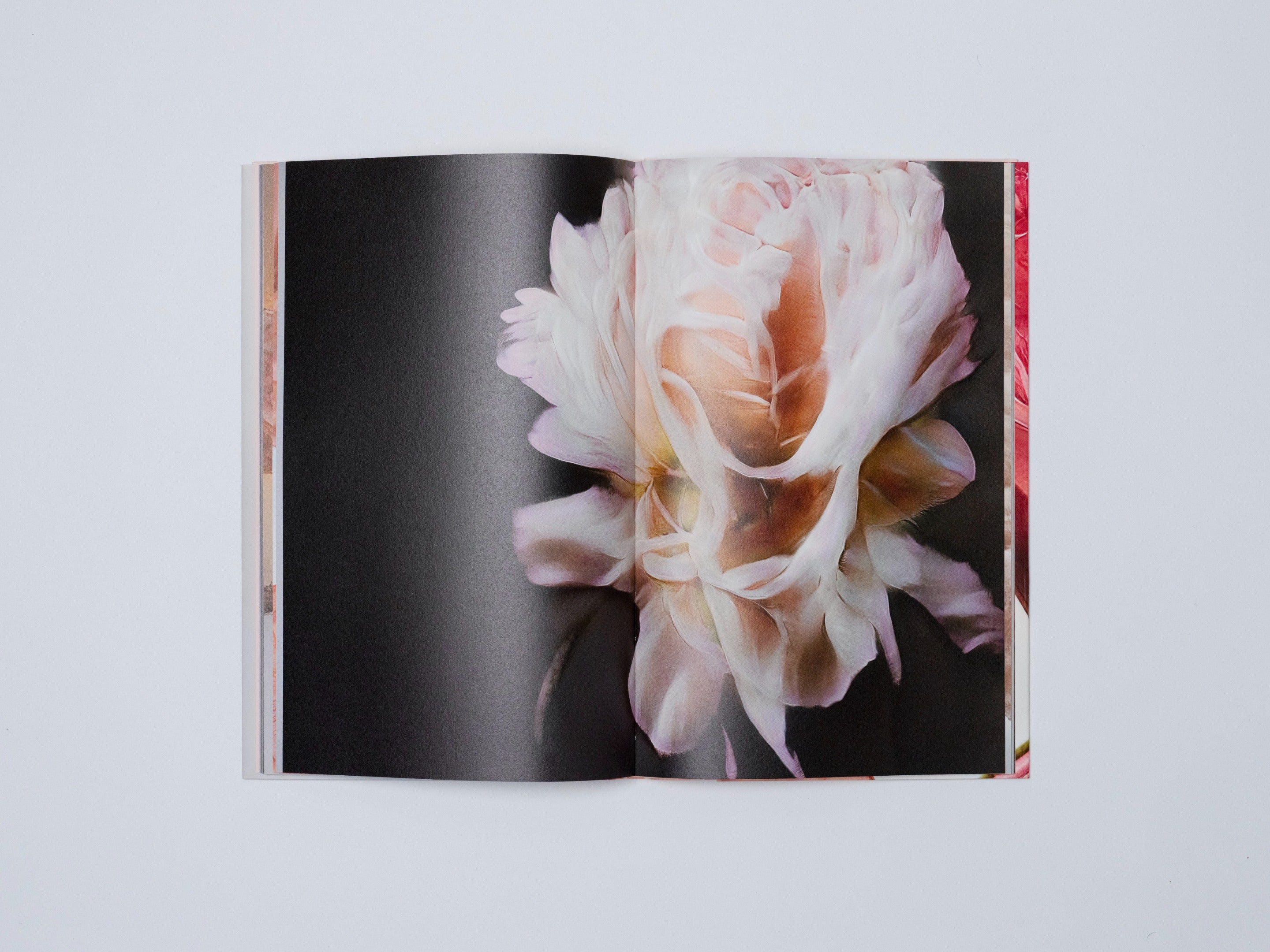 HANATABA - PHOTO BOOK 